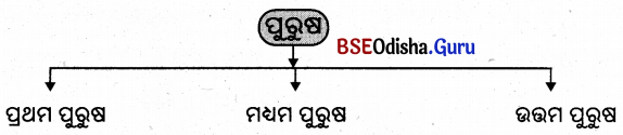 BSE Odisha 9th Class Sanskrit Grammar Solutions Chapter 4 ଲିଙ୍ଗ, ବଚନ ଓ ପୁରୁଷ ପ୍ରକରଣ 3