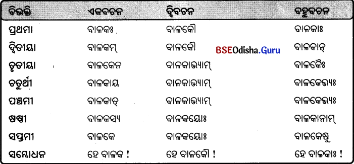 BSE Odisha 9th Class Sanskrit Grammar Solutions Chapter 8 ଶବ୍ଦ ରୂପ 1