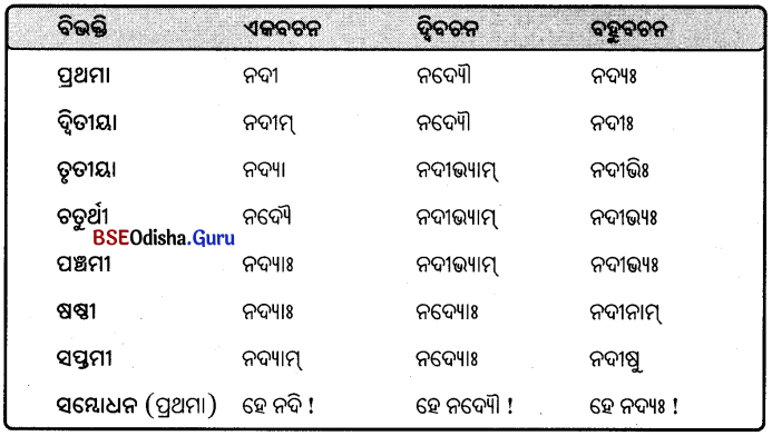 BSE Odisha 9th Class Sanskrit Grammar Solutions Chapter 8 ଶବ୍ଦ ରୂପ 12