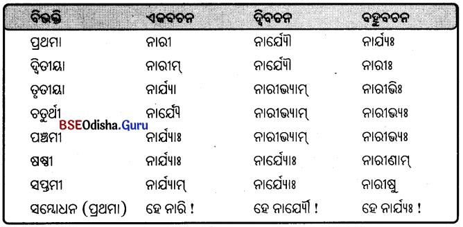 BSE Odisha 9th Class Sanskrit Grammar Solutions Chapter 8 ଶବ୍ଦ ରୂପ 13