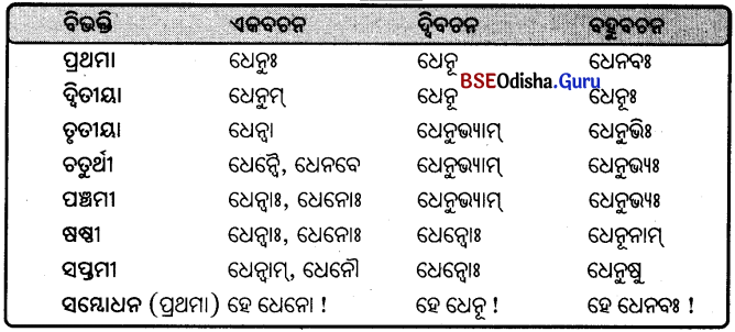BSE Odisha 9th Class Sanskrit Grammar Solutions Chapter 8 ଶବ୍ଦ ରୂପ 15