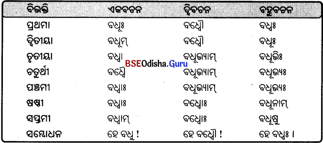BSE Odisha 9th Class Sanskrit Grammar Solutions Chapter 8 ଶବ୍ଦ ରୂପ 17