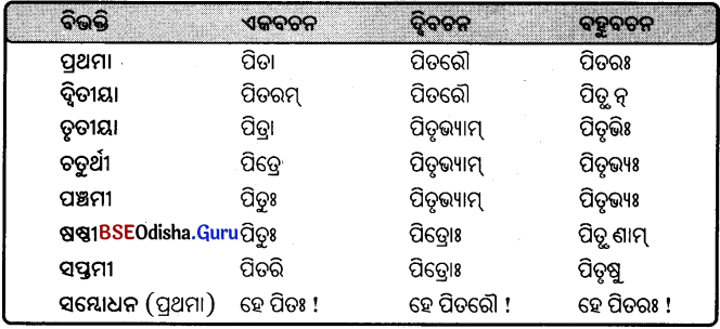 BSE Odisha 9th Class Sanskrit Grammar Solutions Chapter 8 ଶବ୍ଦ ରୂପ 18