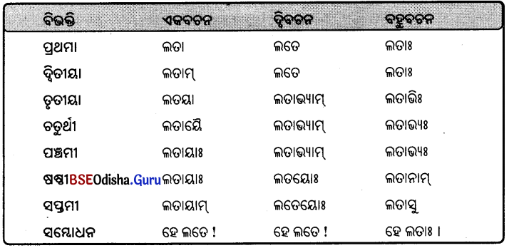 BSE Odisha 9th Class Sanskrit Grammar Solutions Chapter 8 ଶବ୍ଦ ରୂପ 2