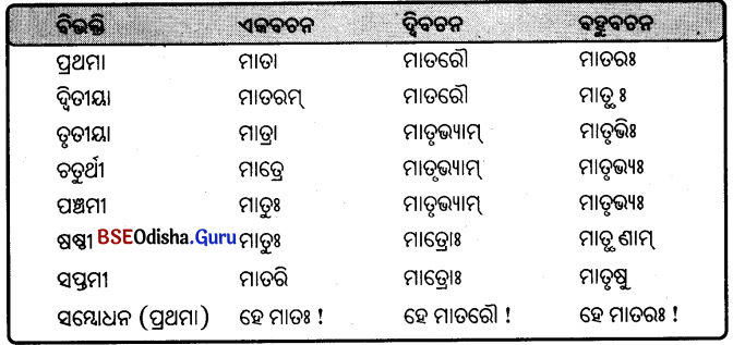 BSE Odisha 9th Class Sanskrit Grammar Solutions Chapter 8 ଶବ୍ଦ ରୂପ 20
