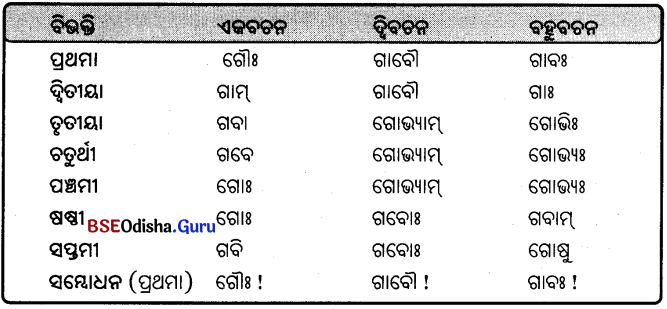 BSE Odisha 9th Class Sanskrit Grammar Solutions Chapter 8 ଶବ୍ଦ ରୂପ 21