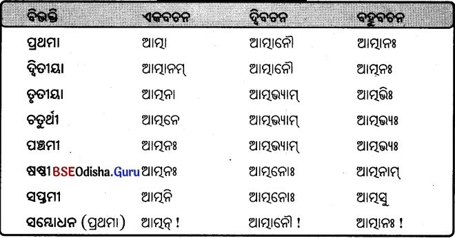 BSE Odisha 9th Class Sanskrit Grammar Solutions Chapter 8 ଶବ୍ଦ ରୂପ 23