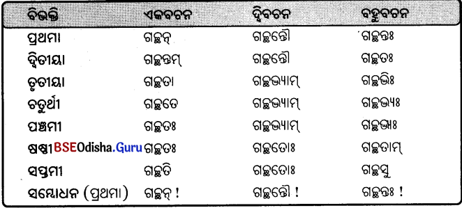 BSE Odisha 9th Class Sanskrit Grammar Solutions Chapter 8 ଶବ୍ଦ ରୂପ 26