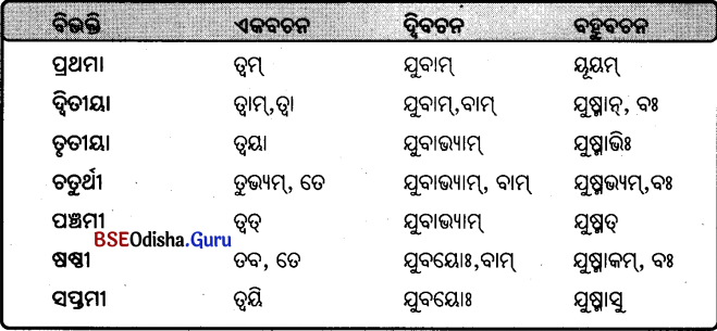 BSE Odisha 9th Class Sanskrit Grammar Solutions Chapter 8 ଶବ୍ଦ ରୂପ 41
