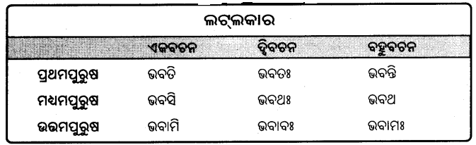 BSE Odisha 9th Class Sanskrit Grammar Solutions Chapter 9 ଧାତୁ ରୂପ 1