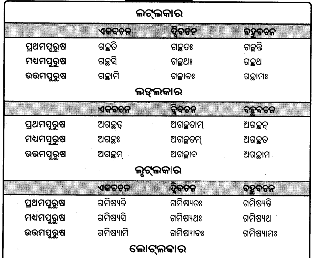 BSE Odisha 9th Class Sanskrit Grammar Solutions Chapter 9 ଧାତୁ ରୂପ 10