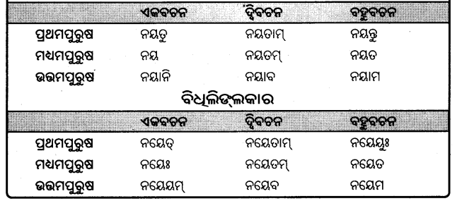 BSE Odisha 9th Class Sanskrit Grammar Solutions Chapter 9 ଧାତୁ ରୂପ 13