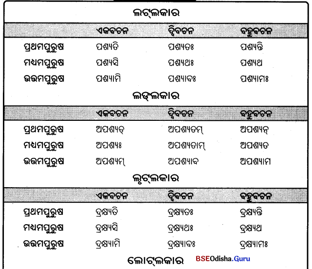 BSE Odisha 9th Class Sanskrit Grammar Solutions Chapter 9 ଧାତୁ ରୂପ 14