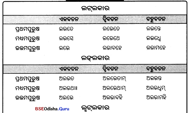 BSE Odisha 9th Class Sanskrit Grammar Solutions Chapter 9 ଧାତୁ ରୂପ 16