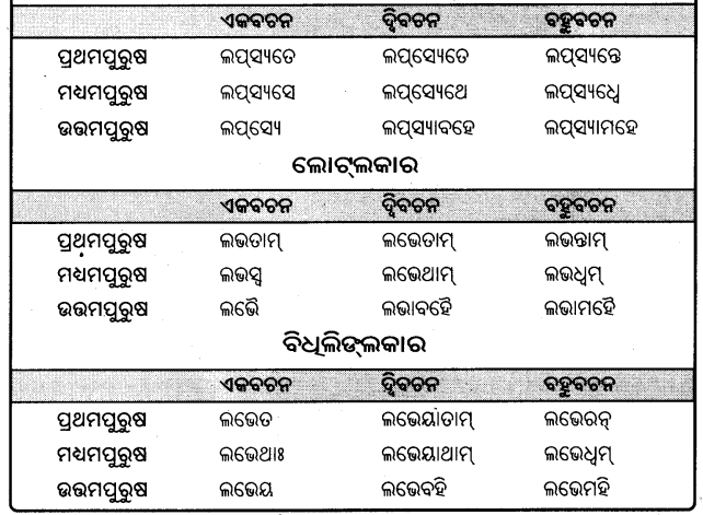 BSE Odisha 9th Class Sanskrit Grammar Solutions Chapter 9 ଧାତୁ ରୂପ 17