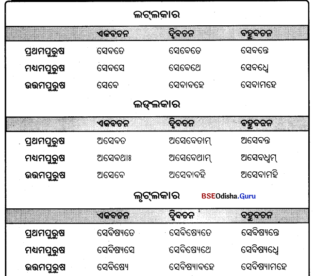 BSE Odisha 9th Class Sanskrit Grammar Solutions Chapter 9 ଧାତୁ ରୂପ 18
