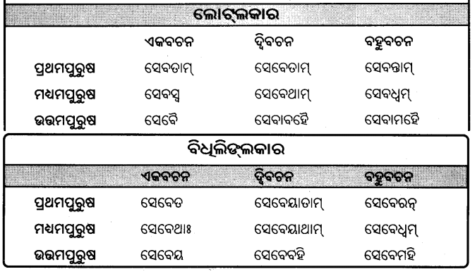 BSE Odisha 9th Class Sanskrit Grammar Solutions Chapter 9 ଧାତୁ ରୂପ 19