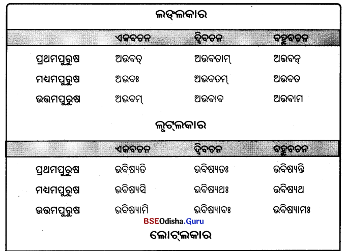 BSE Odisha 9th Class Sanskrit Grammar Solutions Chapter 9 ଧାତୁ ରୂପ 2