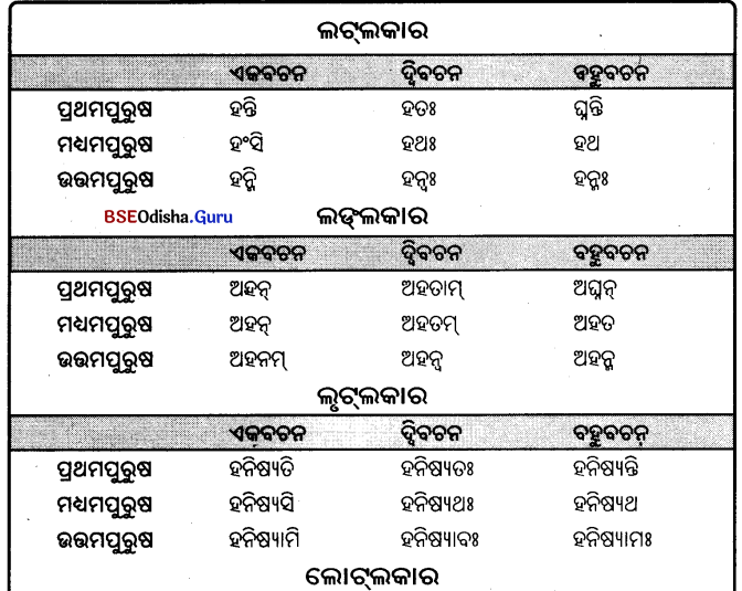 BSE Odisha 9th Class Sanskrit Grammar Solutions Chapter 9 ଧାତୁ ରୂପ 20