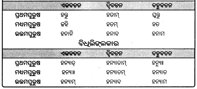 BSE Odisha 9th Class Sanskrit Grammar Solutions Chapter 9 ଧାତୁ ରୂପ 21