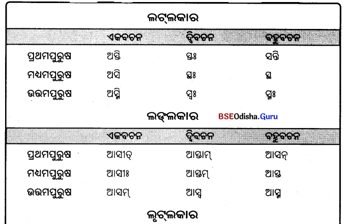 BSE Odisha 9th Class Sanskrit Grammar Solutions Chapter 9 ଧାତୁ ରୂପ 22