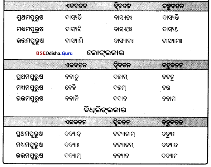 BSE Odisha 9th Class Sanskrit Grammar Solutions Chapter 9 ଧାତୁ ରୂପ 25