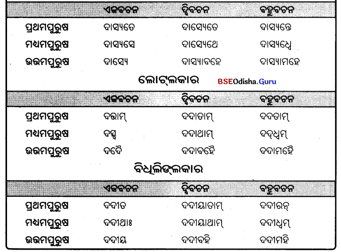 BSE Odisha 9th Class Sanskrit Grammar Solutions Chapter 9 ଧାତୁ ରୂପ 27