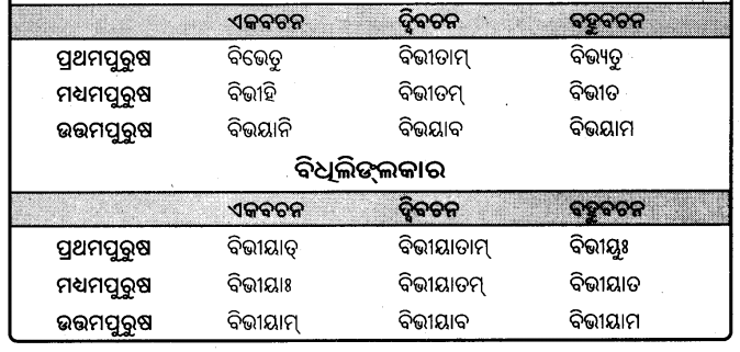 BSE Odisha 9th Class Sanskrit Grammar Solutions Chapter 9 ଧାତୁ ରୂପ 29
