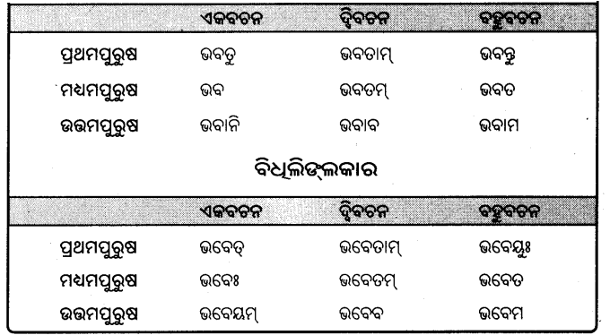BSE Odisha 9th Class Sanskrit Grammar Solutions Chapter 9 ଧାତୁ ରୂପ 3