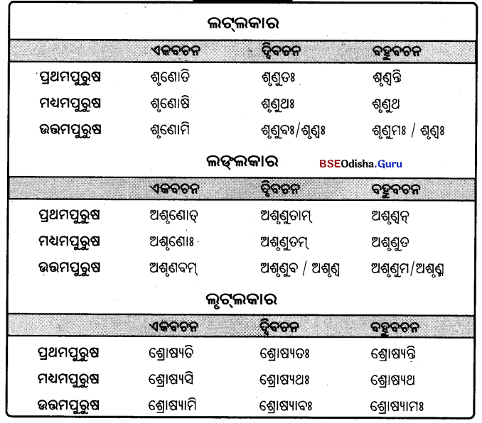BSE Odisha 9th Class Sanskrit Grammar Solutions Chapter 9 ଧାତୁ ରୂପ 30