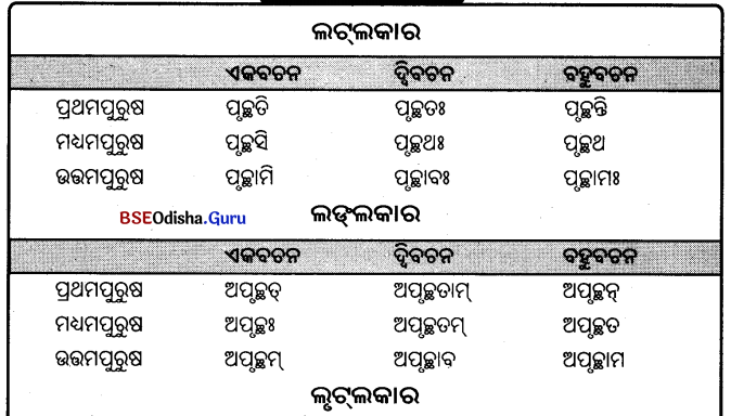 BSE Odisha 9th Class Sanskrit Grammar Solutions Chapter 9 ଧାତୁ ରୂପ 32