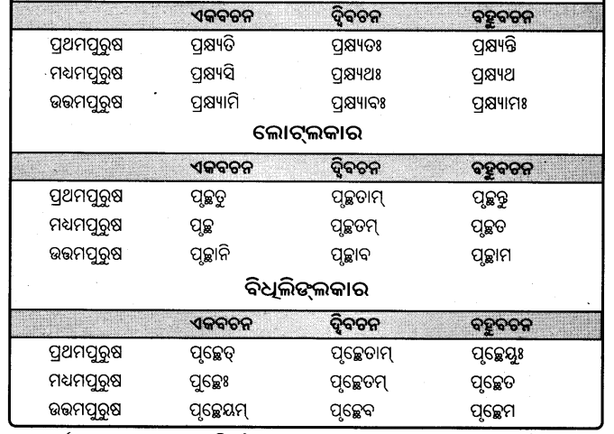 BSE Odisha 9th Class Sanskrit Grammar Solutions Chapter 9 ଧାତୁ ରୂପ 33