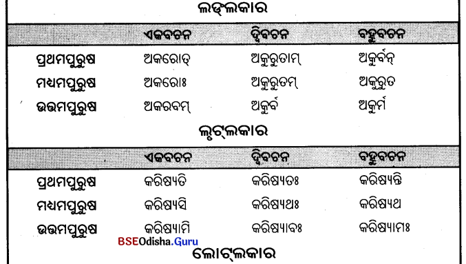 BSE Odisha 9th Class Sanskrit Grammar Solutions Chapter 9 ଧାତୁ ରୂପ 35