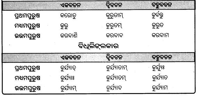 BSE Odisha 9th Class Sanskrit Grammar Solutions Chapter 9 ଧାତୁ ରୂପ 36
