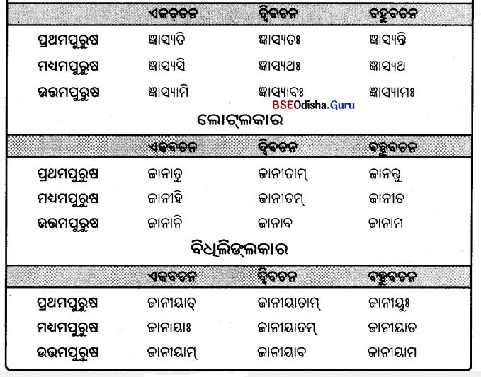 BSE Odisha 9th Class Sanskrit Grammar Solutions Chapter 9 ଧାତୁ ରୂପ 38