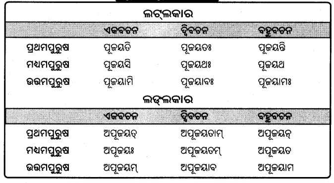 BSE Odisha 9th Class Sanskrit Grammar Solutions Chapter 9 ଧାତୁ ରୂପ 39
