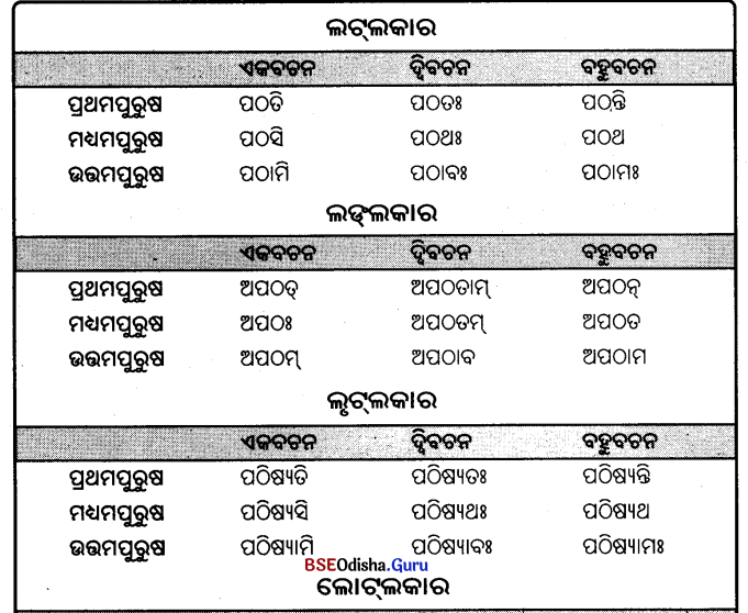 BSE Odisha 9th Class Sanskrit Grammar Solutions Chapter 9 ଧାତୁ ରୂପ 4