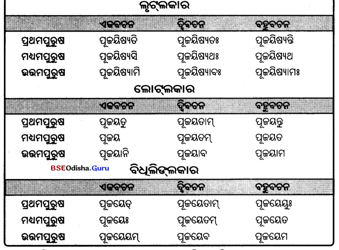 BSE Odisha 9th Class Sanskrit Grammar Solutions Chapter 9 ଧାତୁ ରୂପ 40