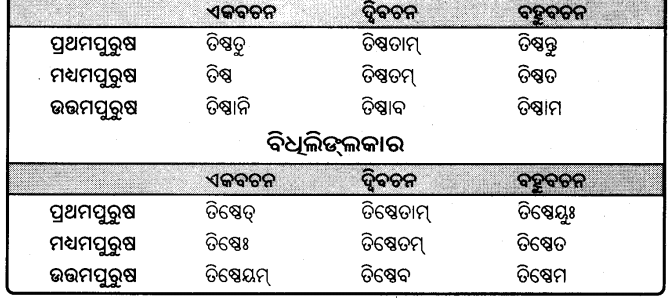BSE Odisha 9th Class Sanskrit Grammar Solutions Chapter 9 ଧାତୁ ରୂପ 7