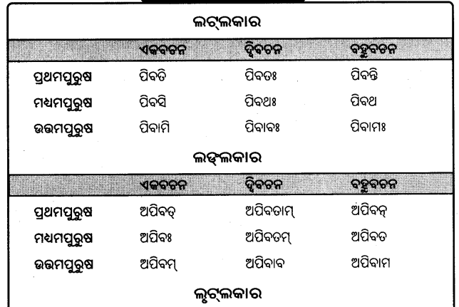 BSE Odisha 9th Class Sanskrit Grammar Solutions Chapter 9 ଧାତୁ ରୂପ 8