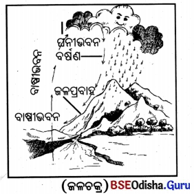 BSE Odisha 7th Class Geography Solutions Chapter 3 ବାରିମଣ୍ଡଳ 2