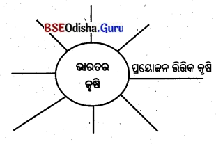 BSE Odisha 8th Class Geography Solutions Chapter 3.2 କୃଷି ଊନ୍ନୟନ 4