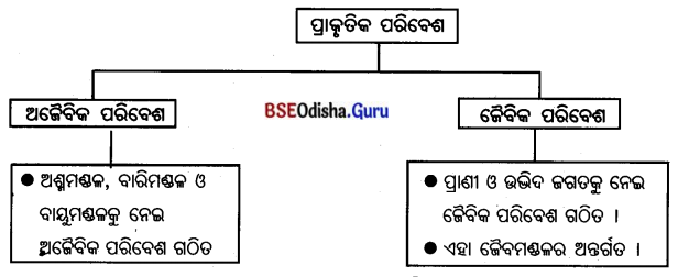 BSE Odisha 7th Class Geography Solutions Chapter 4 ଜୈବମଣ୍ଡଳ 1