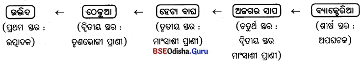 BSE Odisha 7th Class Geography Solutions Chapter 4 ଜୈବମଣ୍ଡଳ 10