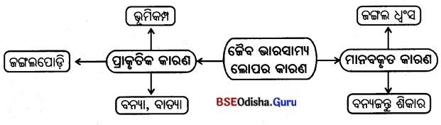 BSE Odisha 7th Class Geography Solutions Chapter 4 ଜୈବମଣ୍ଡଳ 12