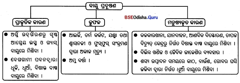 BSE Odisha 7th Class Geography Solutions Chapter 4 ଜୈବମଣ୍ଡଳ 13