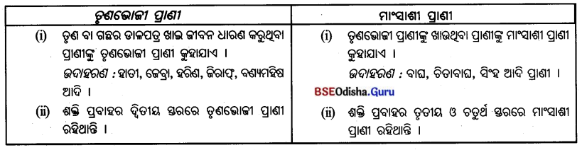 BSE Odisha 7th Class Geography Solutions Chapter 4 ଜୈବମଣ୍ଡଳ 20