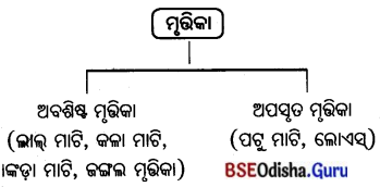 BSE Odisha 7th Class Geography Solutions Chapter 4 ଜୈବମଣ୍ଡଳ 3