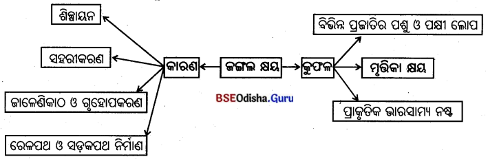 BSE Odisha 7th Class Geography Solutions Chapter 4 ଜୈବମଣ୍ଡଳ 9