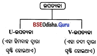 BSE Odisha 7th Class Geography Solutions Chapter 5 ବ୍ୟାବହାରିକ ଭୂଗୋଳ 6
